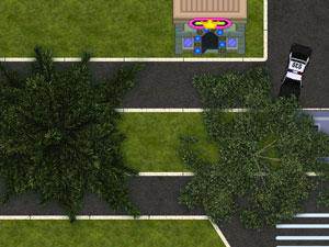 帮警察叔叔停车