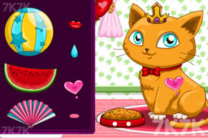 打扮可爱小动物