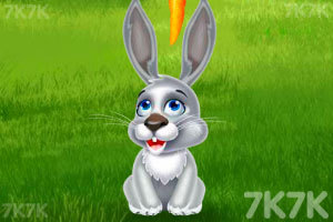 玛莎和她的兔子