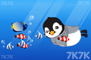 可爱的企鹅宝贝