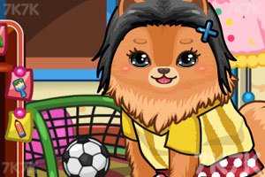 超级可爱的小狗狗