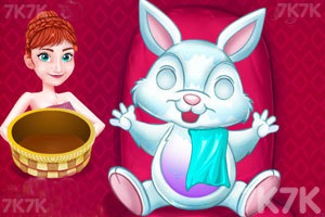 安娜为兔子做护理