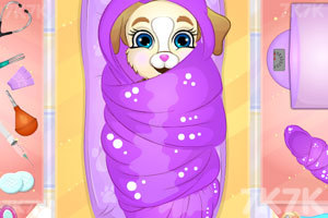 狗妈妈生小宝宝