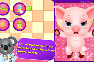 可爱的小猪宝贝