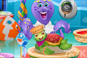 照顾可爱的小乌龟