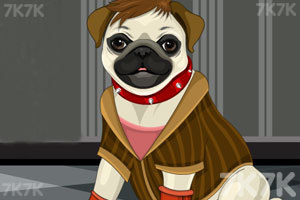 照顾我的宠物小狗