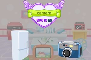 家中的电器英文版