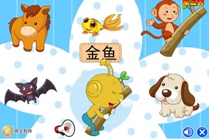 奇特的睡眠方式