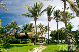 海滨度假村逃离