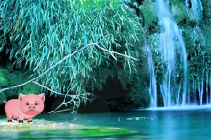 小猪瀑布逃脱