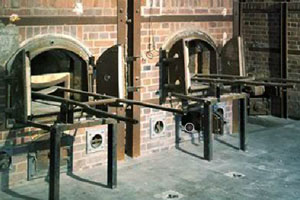 逃离波兰集中营