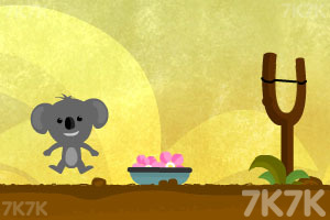 逗考拉小子开心