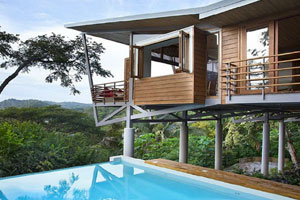 奥林帕斯的宝藏4