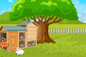 帮助兔子逃脱鹰眼