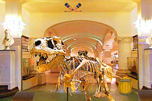 照像机博物馆逃生