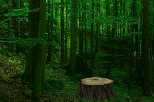 解救鳄鱼逃出森林