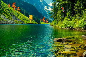 逃出大自然森林