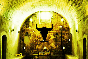 逃到没有绿光的地方