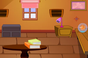 救鸽子逃出笼子