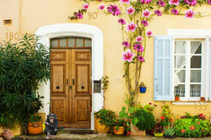 帮魔术师救治猴子