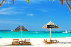 魔法天使岛逃生