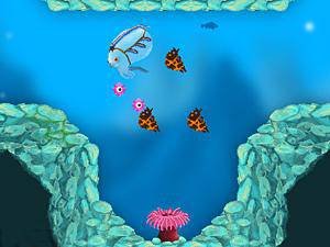 章鱼妈妈寻宝宝