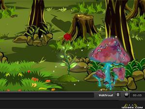 女孩的魔法梦境2