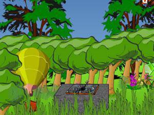 热气球冒险之旅