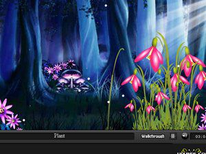 女孩的魔法梦境