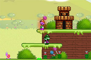 马里奥路易吉回家