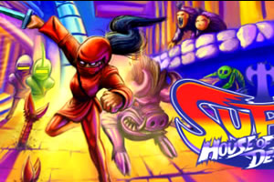 超级女忍者无敌版