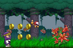 忍者勇闯玛丽世界