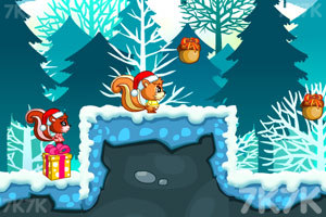 圣诞节松鼠觅食