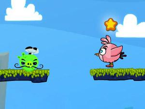 愤怒小鸟双人大战