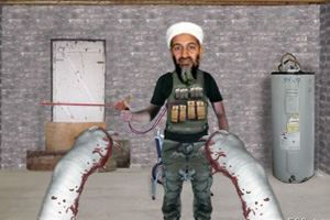 小猫大战本拉登