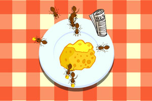 偷奶酪的蚂蚁