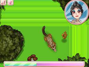 可爱的小花栗鼠