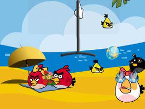 接住愤怒的小鸟