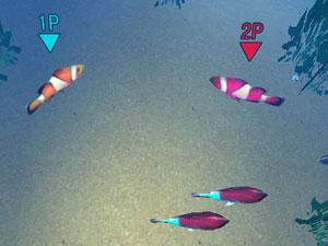 大鱼吃小鱼3D双人版