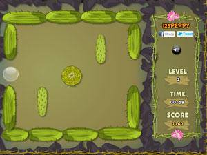 转角遇见仙人掌