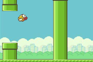 飞扬的小鸟中文版