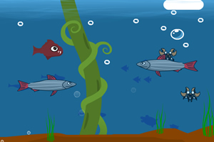 凶猛大鱼吃小鱼