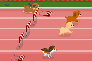 小狗障碍赛跑