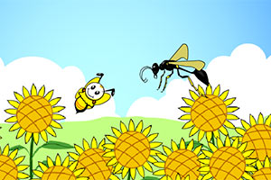 疯狂的蜜蜂