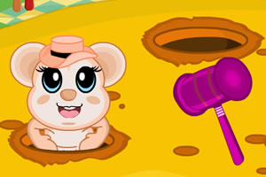 乱作一团的老鼠