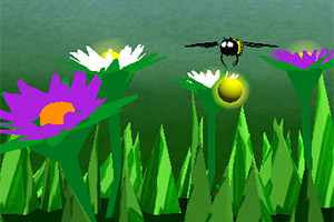 花园里的小蜜蜂