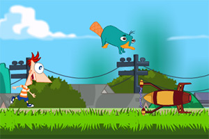 飞哥追逐鸭嘴兽