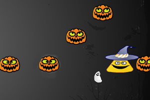 小心疯狂的南瓜