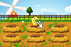快乐抓小鸡