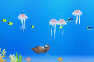 熊出没海底捞贝壳